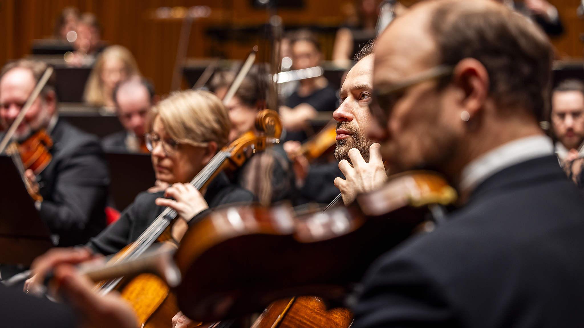 Stråkmusiker spelar i orkestern.